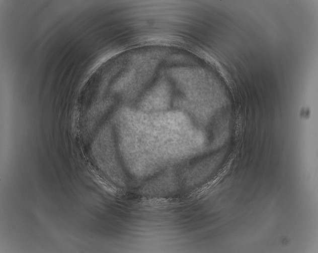 X0000095131019200712301820