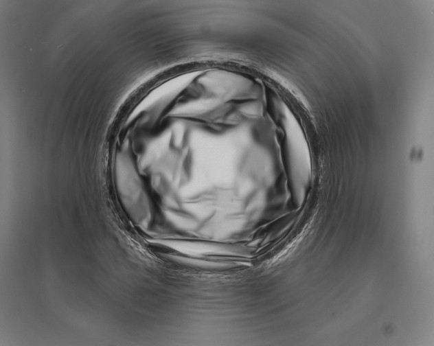 X0000095131021200712301820