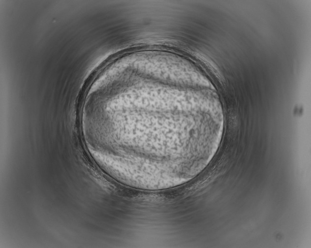 X0000095131023200712301820