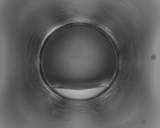 X0000095131024200712301820