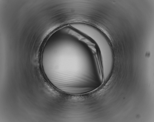 X0000095131026200712301820