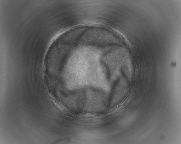 X0000095131027200712301820