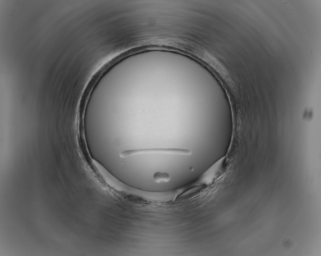 X0000095131028200712301820