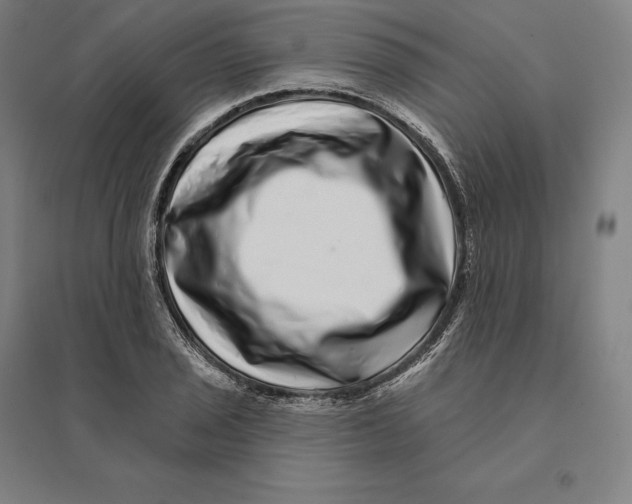 X0000095131029200712301820