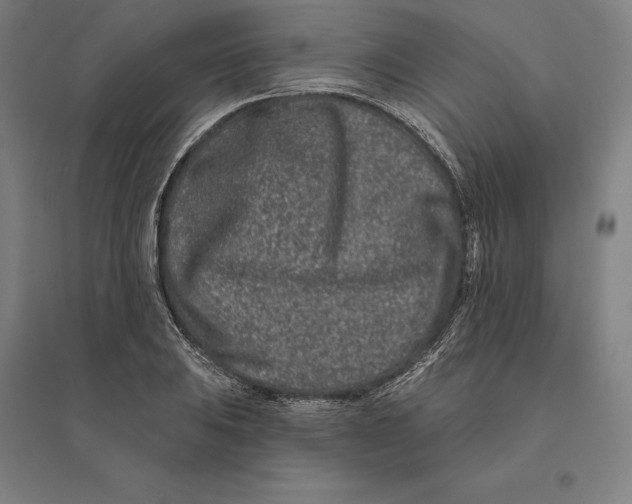 X0000095131031200712301820