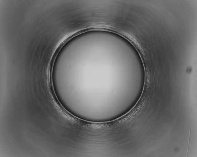 X0000095131032200712301820