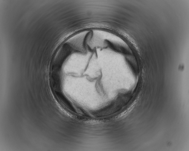 X0000095131033200712301820