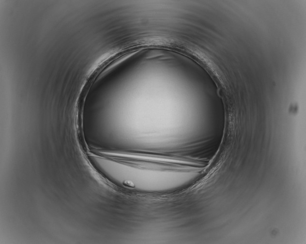 X0000095131034200712301820