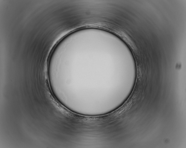 X0000095131036200712301820