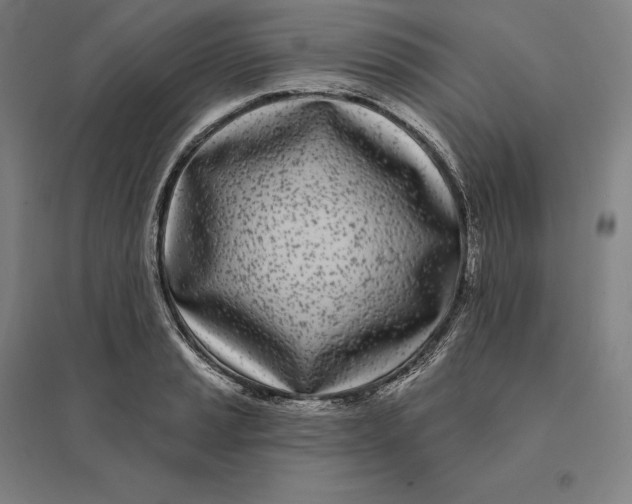 X0000095131037200712301820