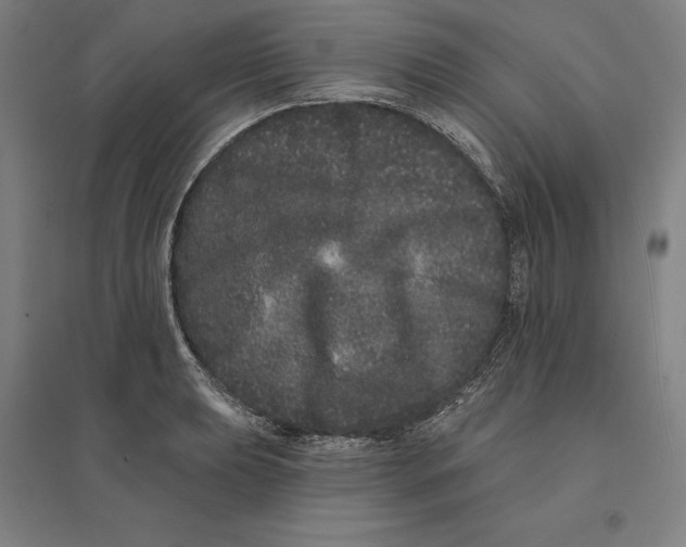 X0000095131039200712301820