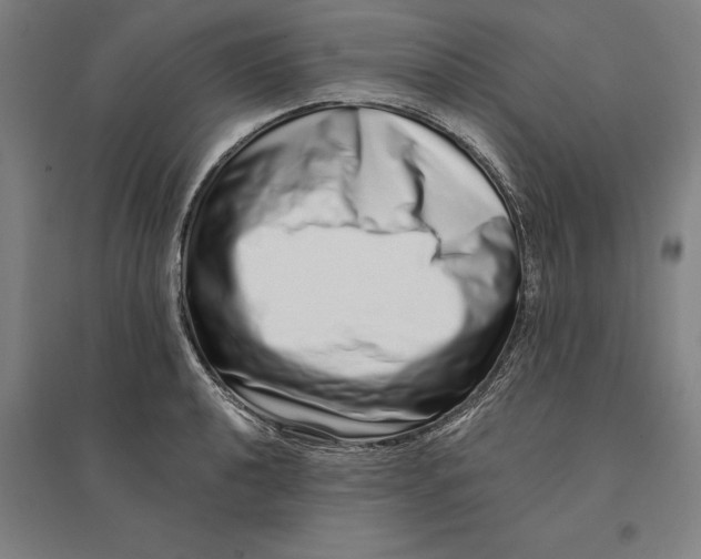 X0000095131040200712301820