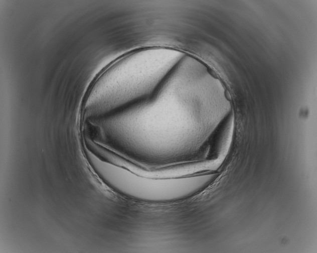 X0000095131044200712301820