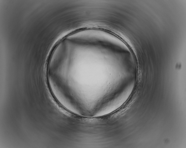 X0000095131045200712301820