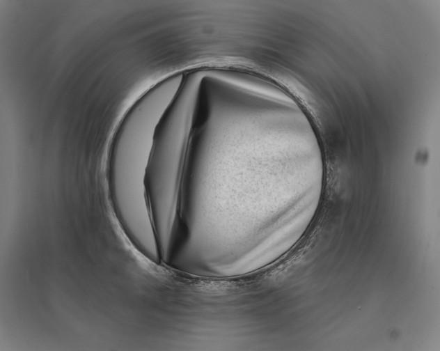 X0000095131046200712301820