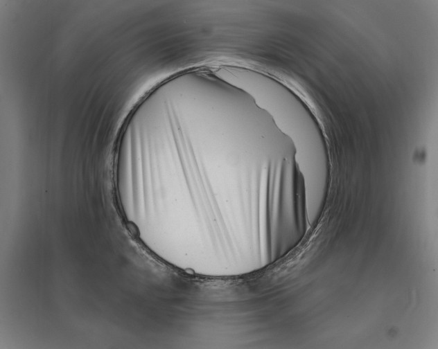 X0000095131048200712301820