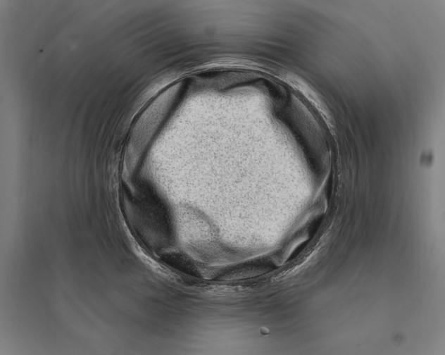 X0000095131049200712301820