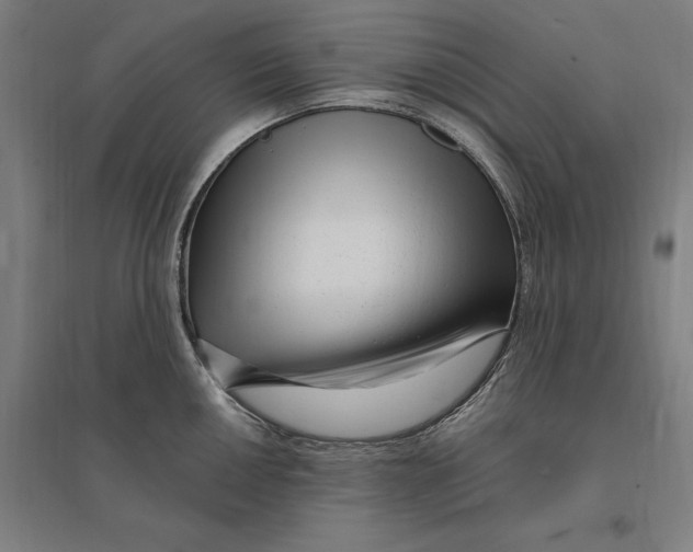 X0000095131050200712301820