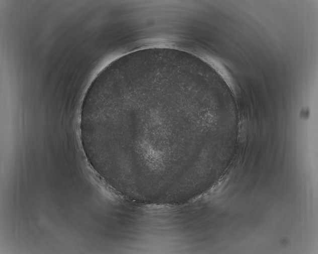 X0000095131051200712301820