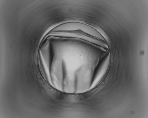 X0000095131052200712301820