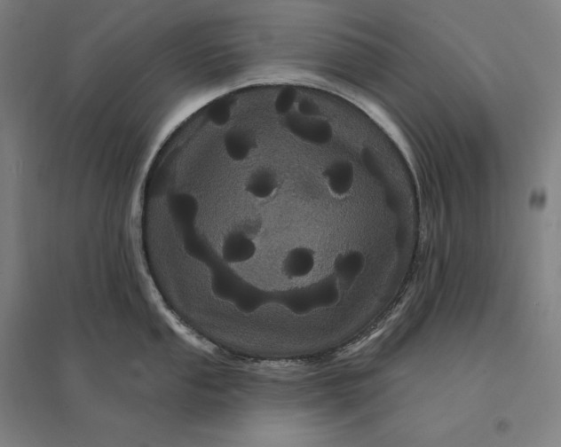 X0000095131053200712301820