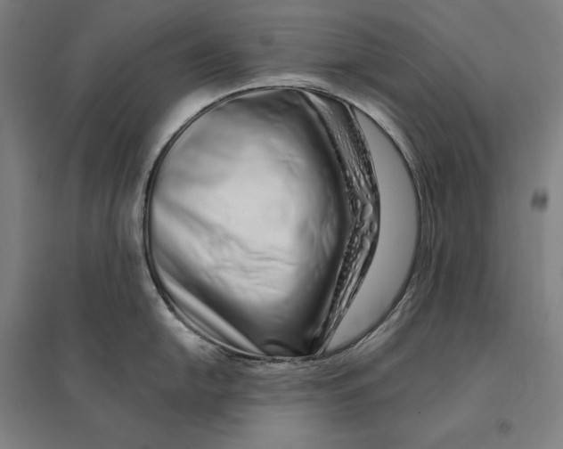 X0000095131054200712301820