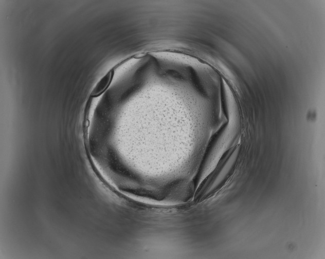 X0000095131055200712301820