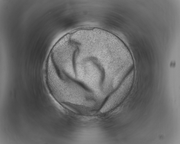 X0000095131056200712301820