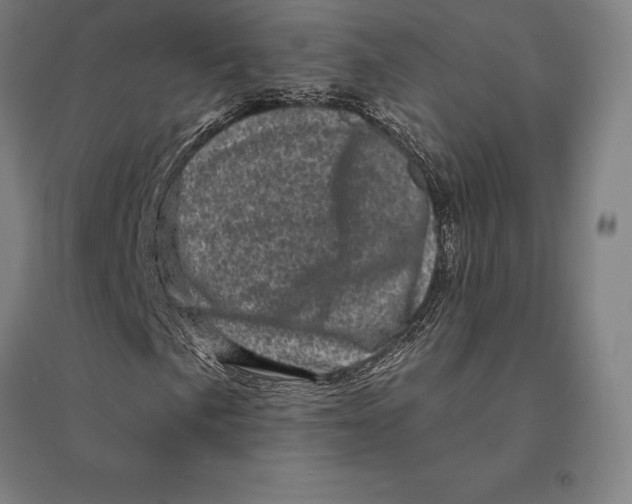 X0000095131057200712301819