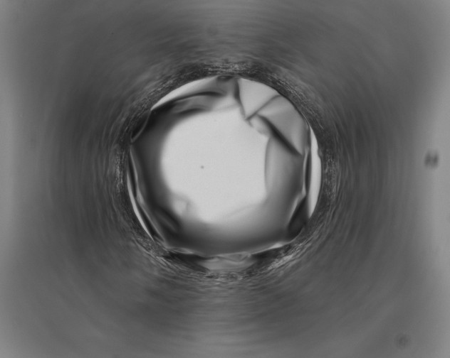 X0000095131058200712301819