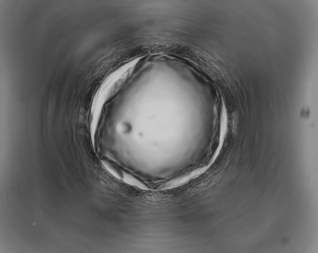 X0000095131059200712301819