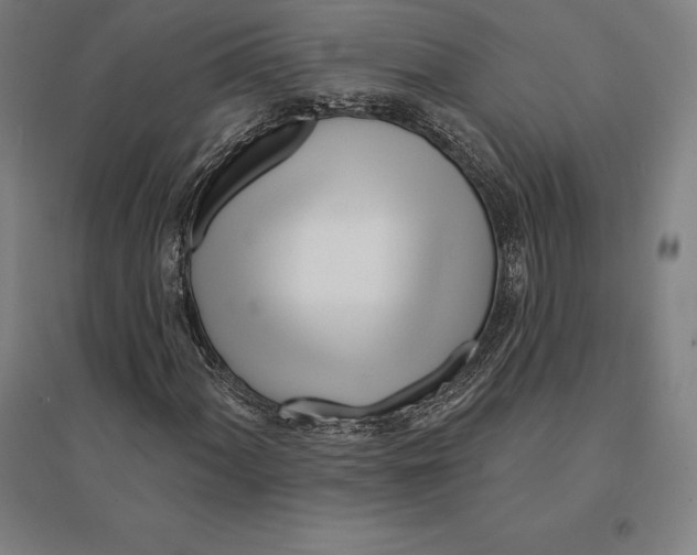 X0000095131060200712301819