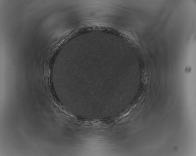 X0000095131061200712301819