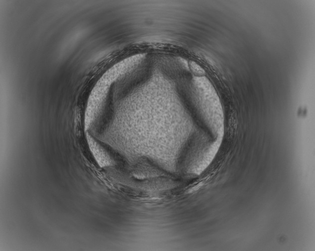 X0000095131062200712301819