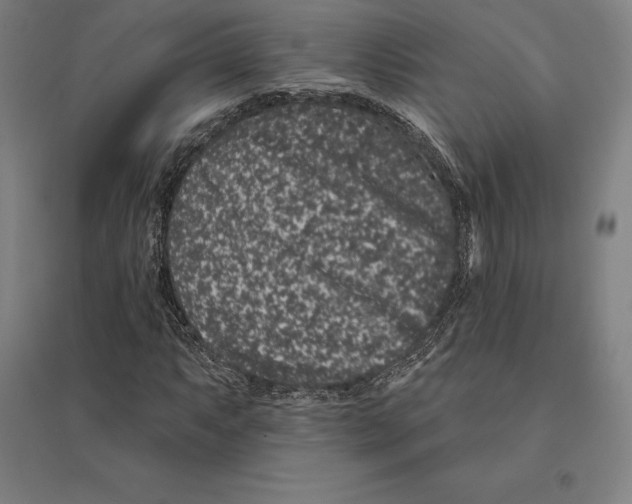 X0000095131063200712301819