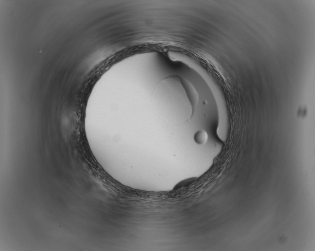 X0000095131064200712301819