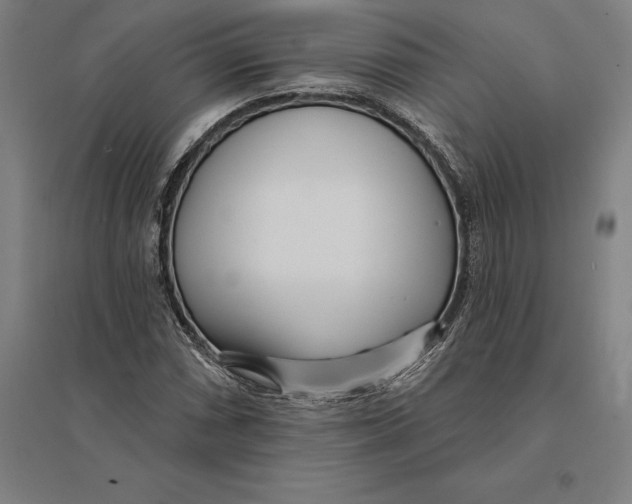 X0000095131066200712301819