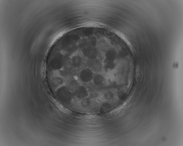 X0000095131067200712301819