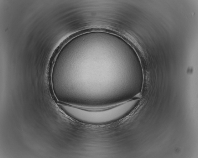 X0000095131068200712301819