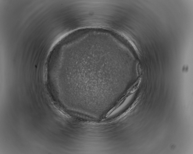 X0000095131069200712301819