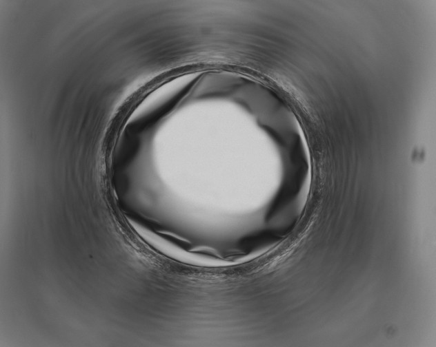 X0000095131070200712301819