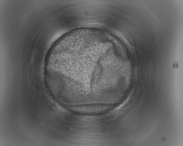 X0000095131071200712301819