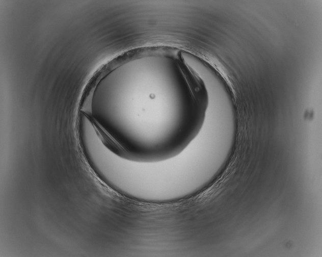 X0000095131072200712301819