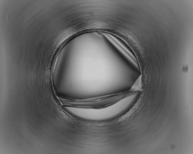 X0000095131073200712301819