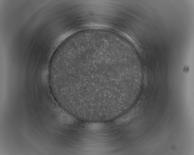 X0000095131074200712301819