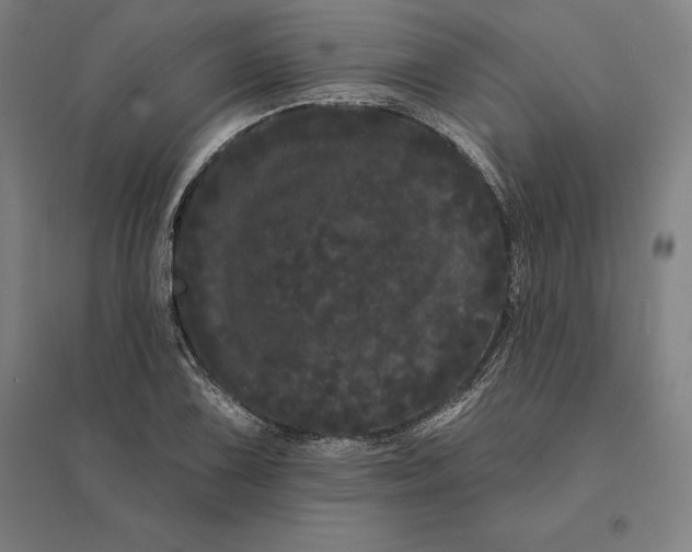 X0000095131075200712301819