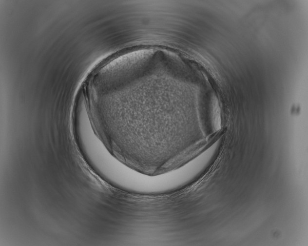 X0000095131076200712301819