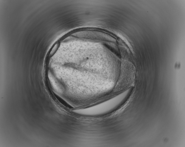 X0000095131077200712301819