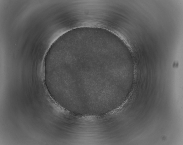 X0000095131078200712301819