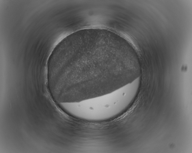 X0000095131079200712301819